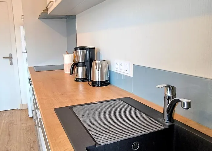 La Mésange * Mauleon